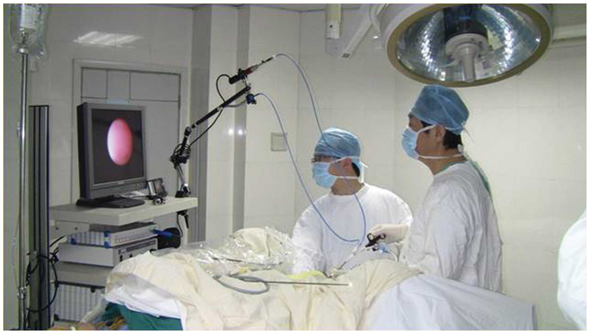Modular flexible ureteroscopy and holmium laser ...