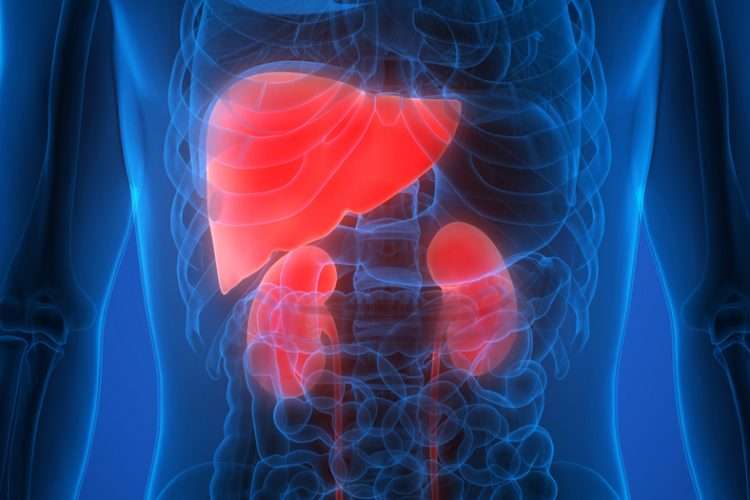 New drug targets for a rare kidney and liver disease