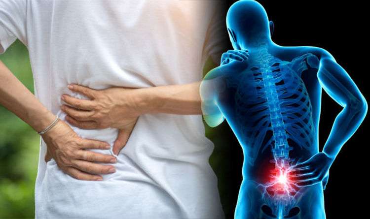 Obtain How To Tell Back Pain From Kidney Pain You Must Know ...