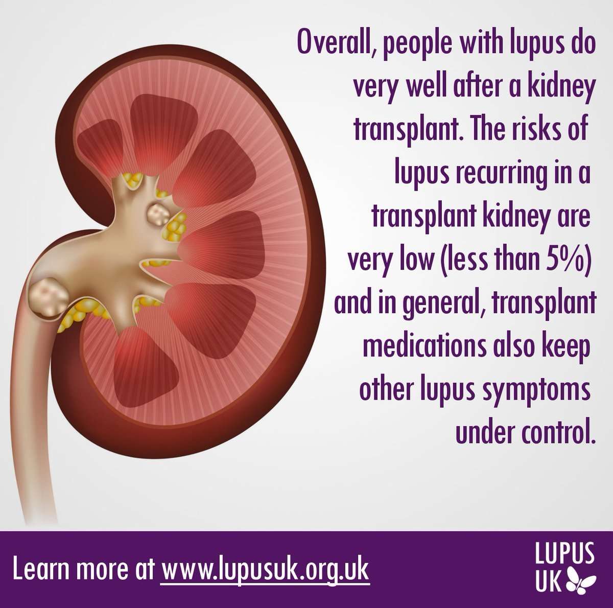 Obtain Kidney Failure Symptoms Lupus You Should Know ...