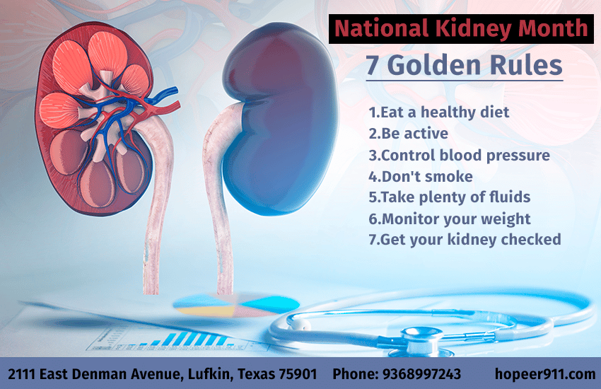 Our kidneys are small in size, but they perform many important ...