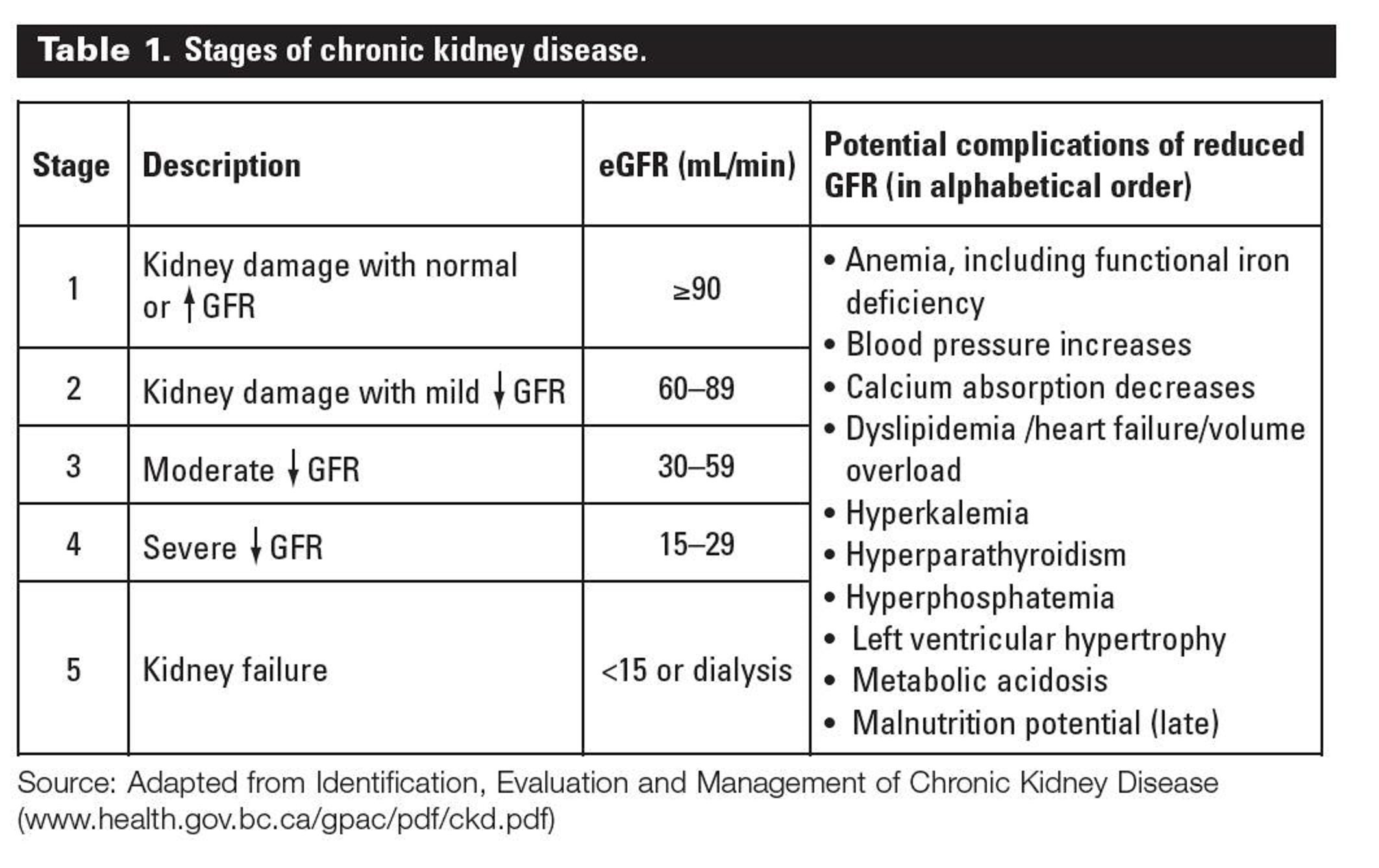 Overview of Chronic Kidney Disease Stages