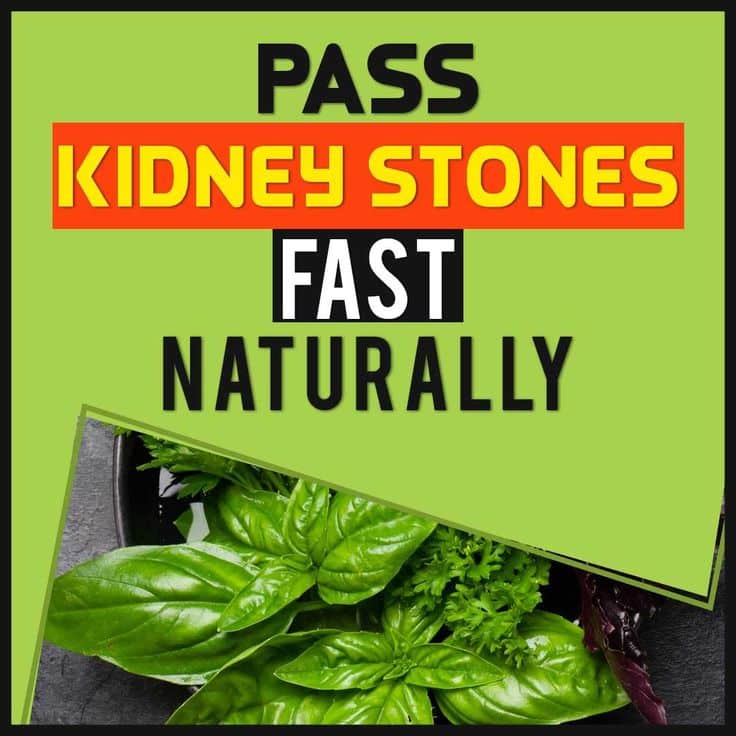 Fastest Way To Get Rid Of Kidney Stone Pain