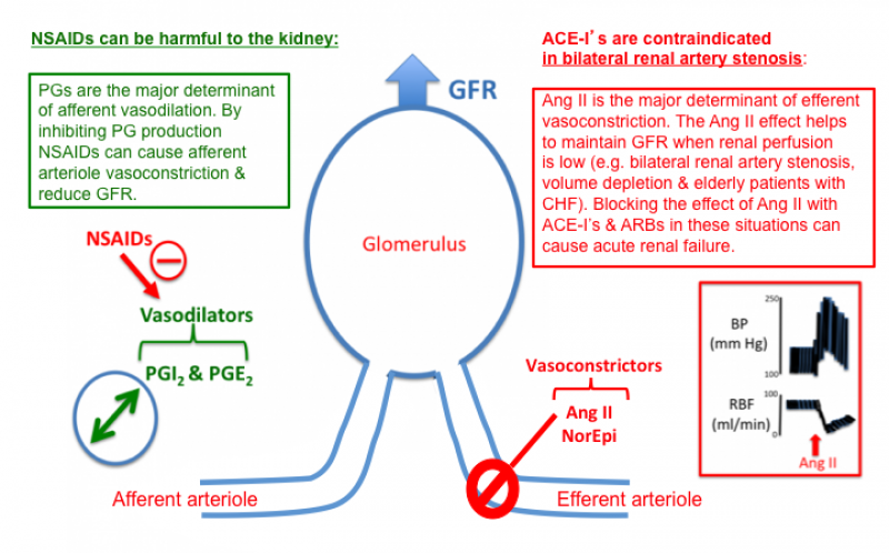 renal artery stenosis and ace inhibitor
