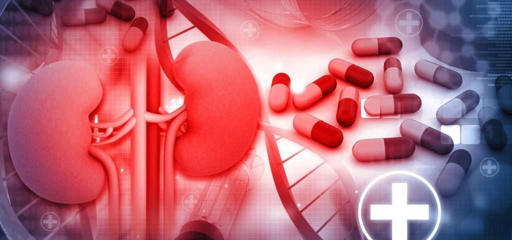 Renal Disease Therapeutic Tenapanor Does Well in Phase 3 Clinical Trial