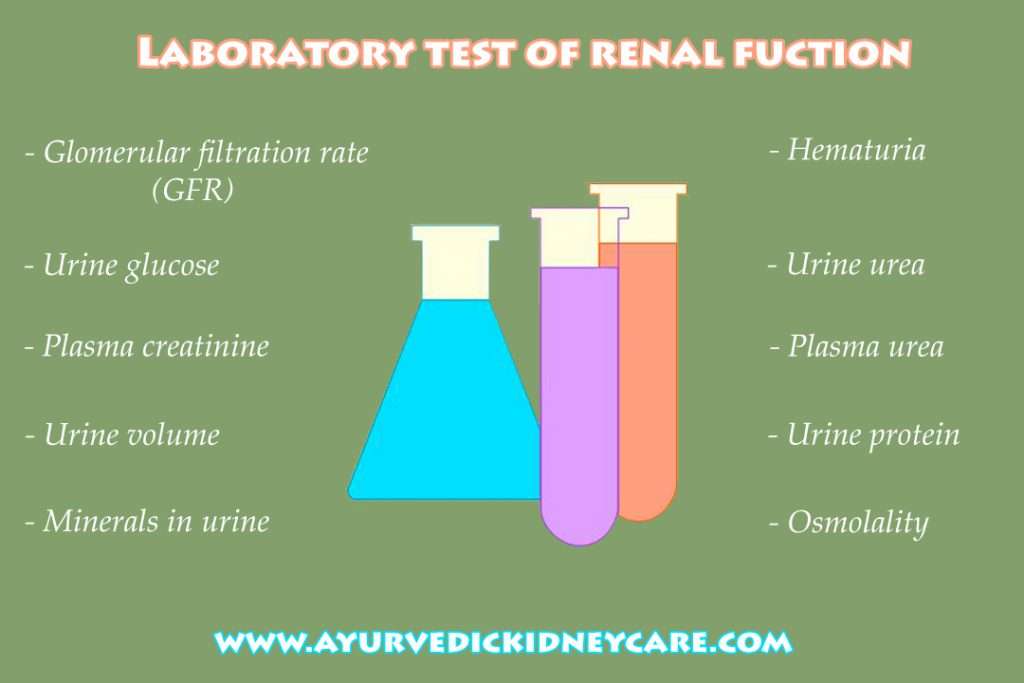 Renal Function Test Interpretation, Ayurvedic Kidney Care