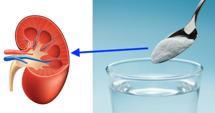 Repair Kidneys Naturally And With 1 Ingredient