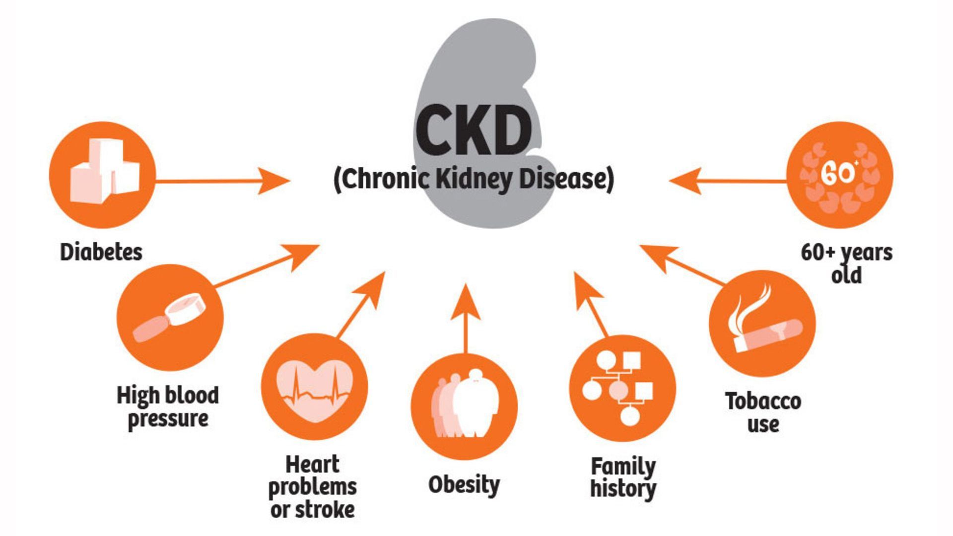 RISK FACTORS THAT LEAD TO CHRONIC KIDNEY DISEASE! Chronic ...