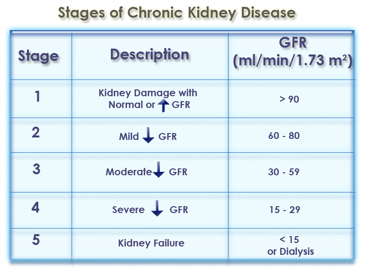 What Is The Normal Gfr Rate For One Kidney - HealthyKidneyClub.com