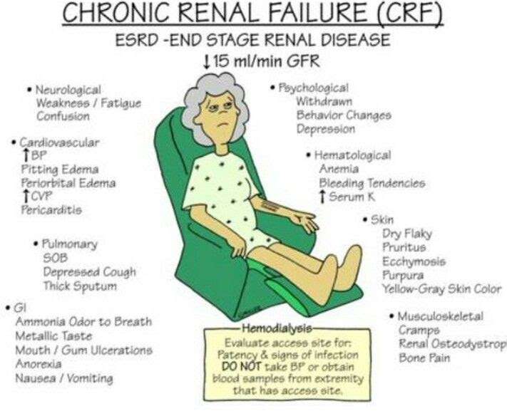 can-kidney-problems-cause-memory-loss-healthykidneyclub