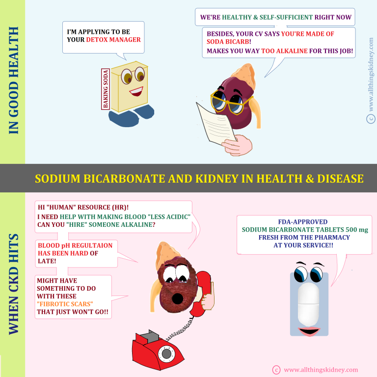 SODIUM BICARBONATE &  KIDNEY DISEASE