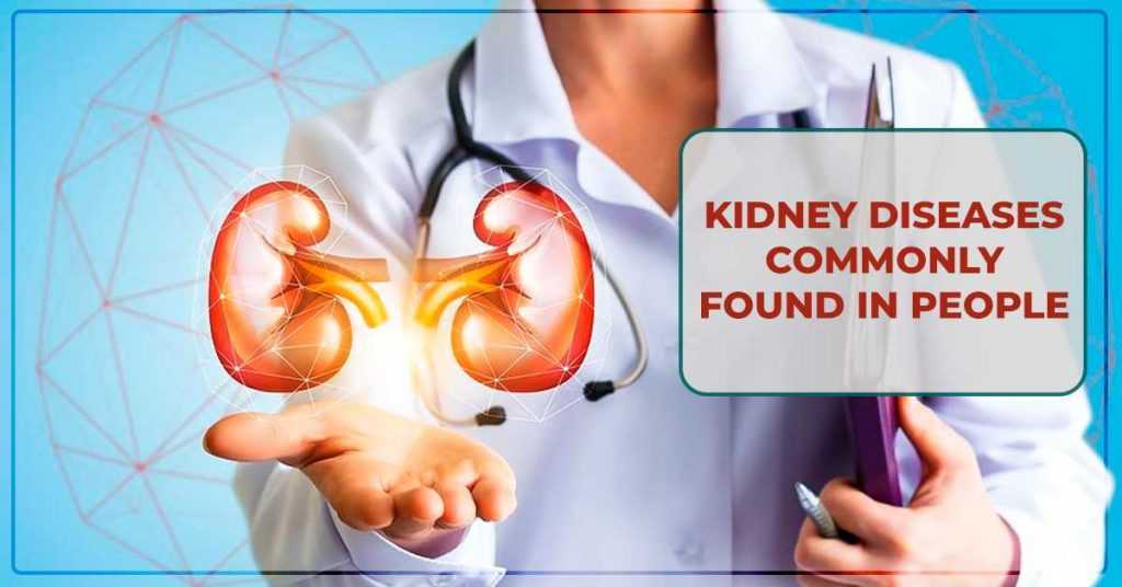Some Of The Most Common Kidney Diseases And Their ...