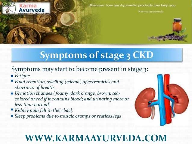 Stage 3 Kidney Disease : Age Standardised Prevalence Of Ckd Stage 3 5 ...
