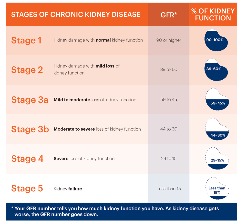 Stages of Chronic Kidney Disease  Purivo Dialysis Center