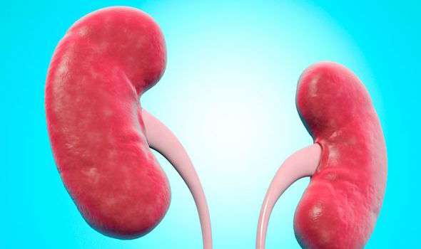 Statins in new health alert: Daily pill can cause kidney ...