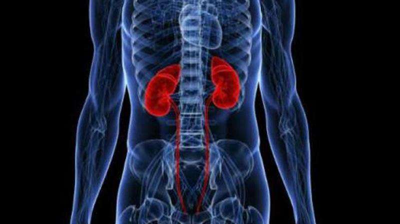 superbugs hinder kidney infection treatment study