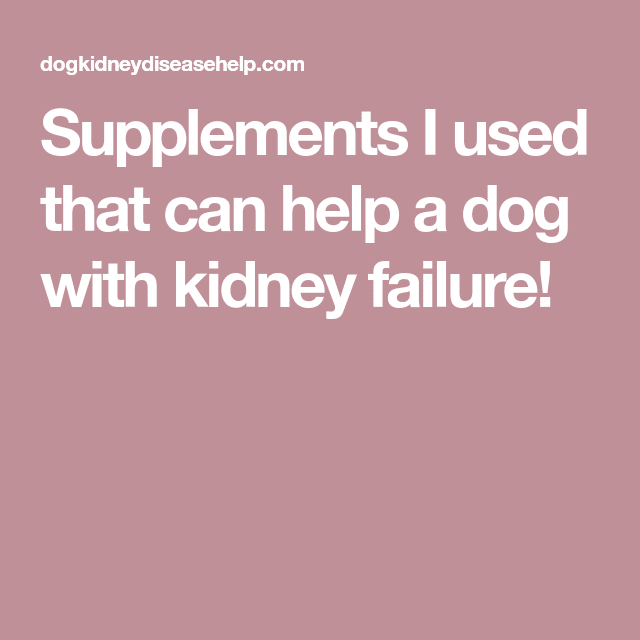 Supplements I used that can help a dog with kidney failure!