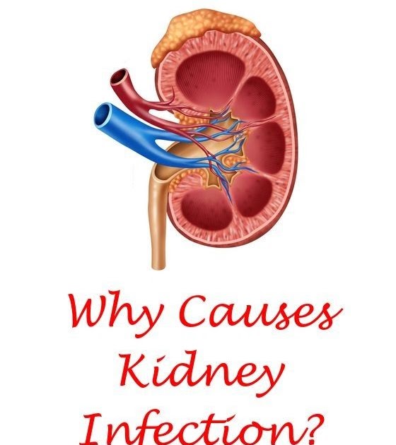 Symptoms Of Weak Kidney And Liver