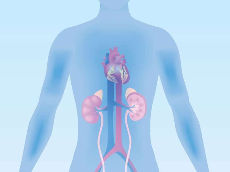 The connection between diabetes, kidney disease and high ...