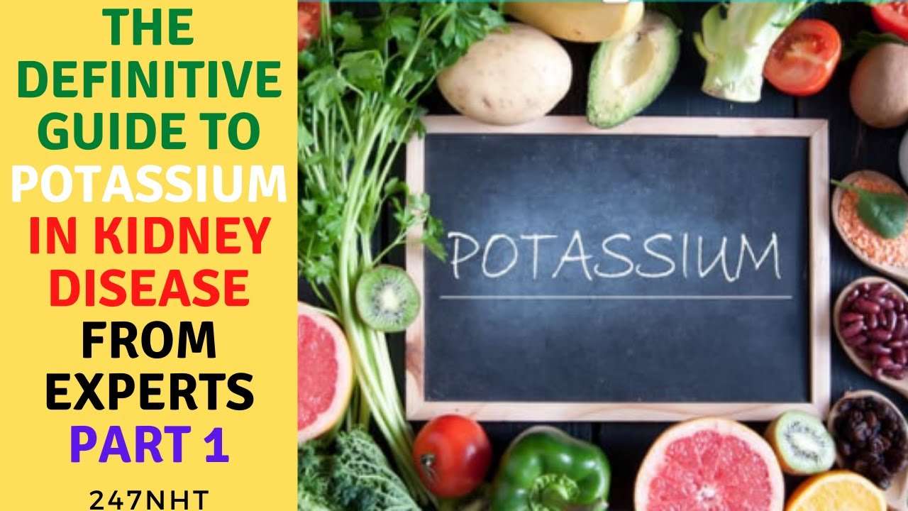 The definitive guide to potassium in kidney disease from experts Part 1 ...