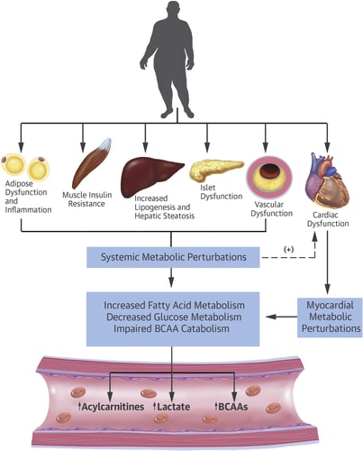 The Emerging Role of Metabolomics in the Diagnosis and Prognosis of ...