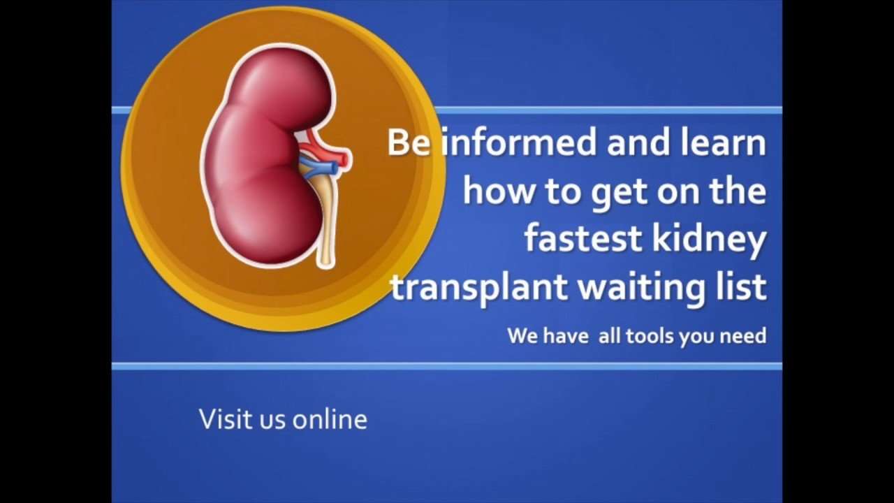 The fastest kidney transplant waiting list