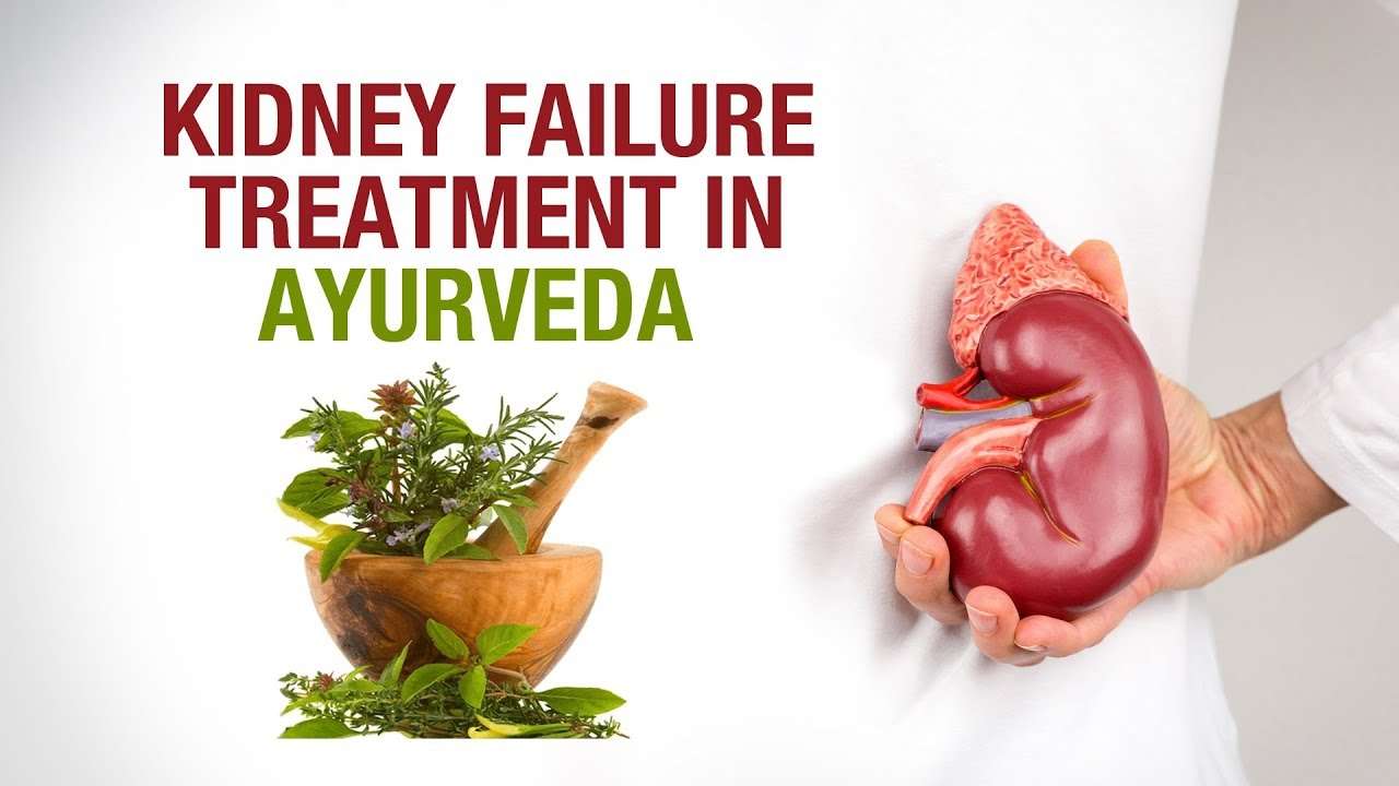 The Mystery Of Ayurvedic Treatment For Kidney Failure
