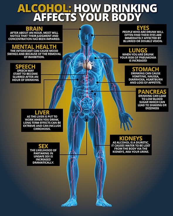 This is what happens to your body ONE HOUR after drinking alcohol ...