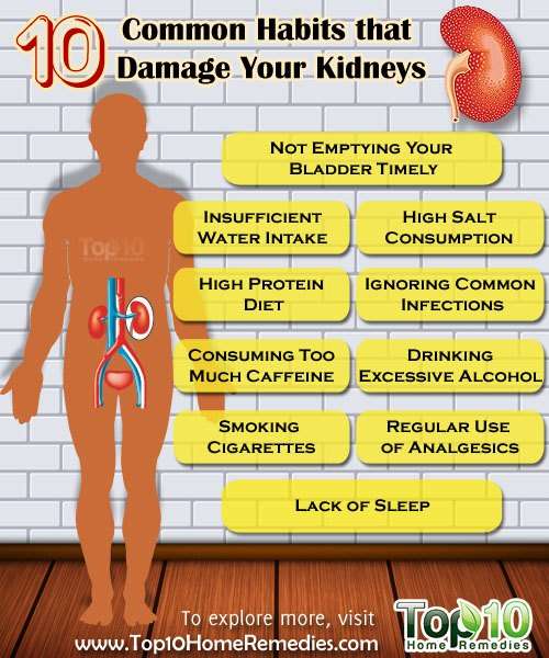Top 10 Common Habits that Damage Your Kidneys