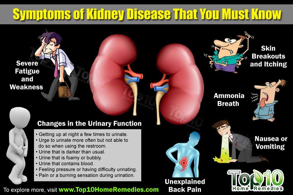 Top 10 Symptoms of Kidney Disease that You Need to Know