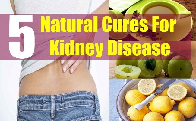 Top 5 Natural Cures For Kidney Disease â Natural Home ...