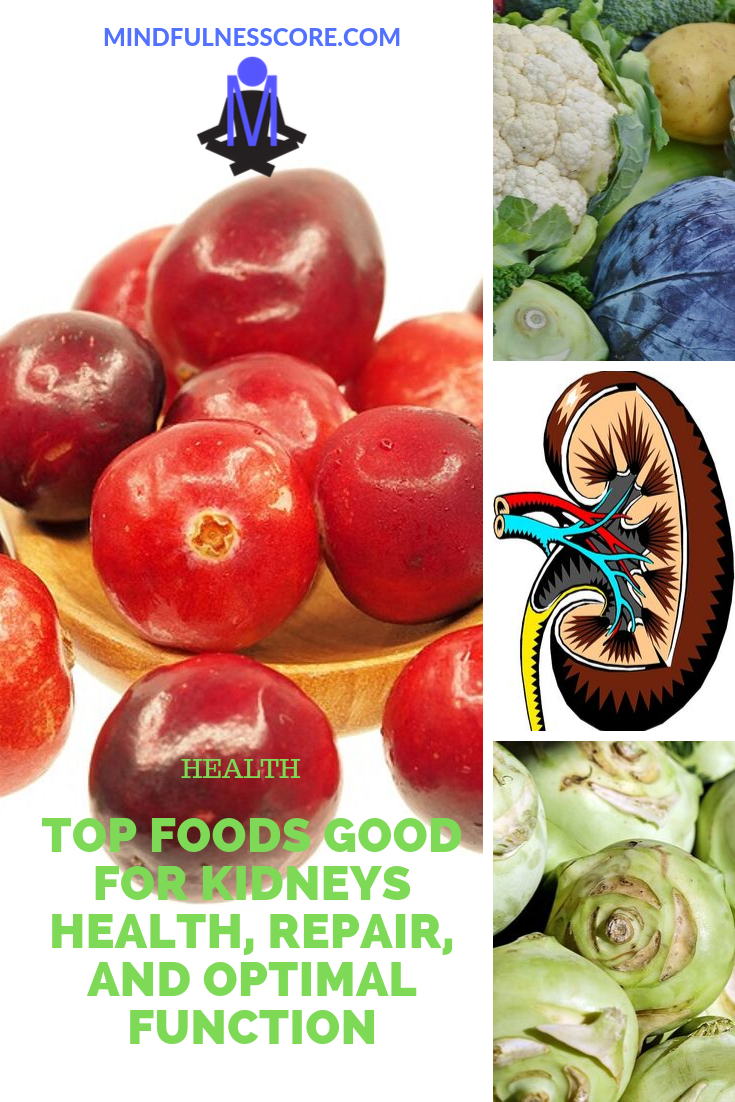 Top Foods Good for Kidneys Health, Repair, and Optimal ...