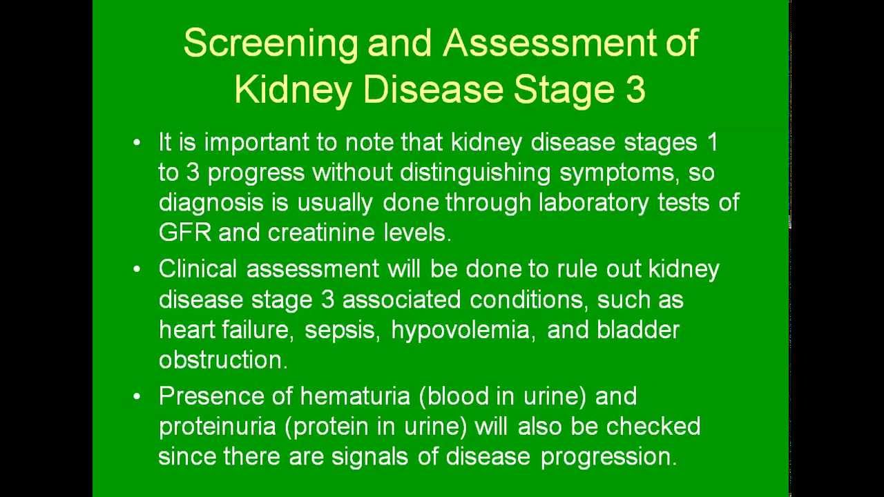 Understanding Stage 3 Kidney Failure