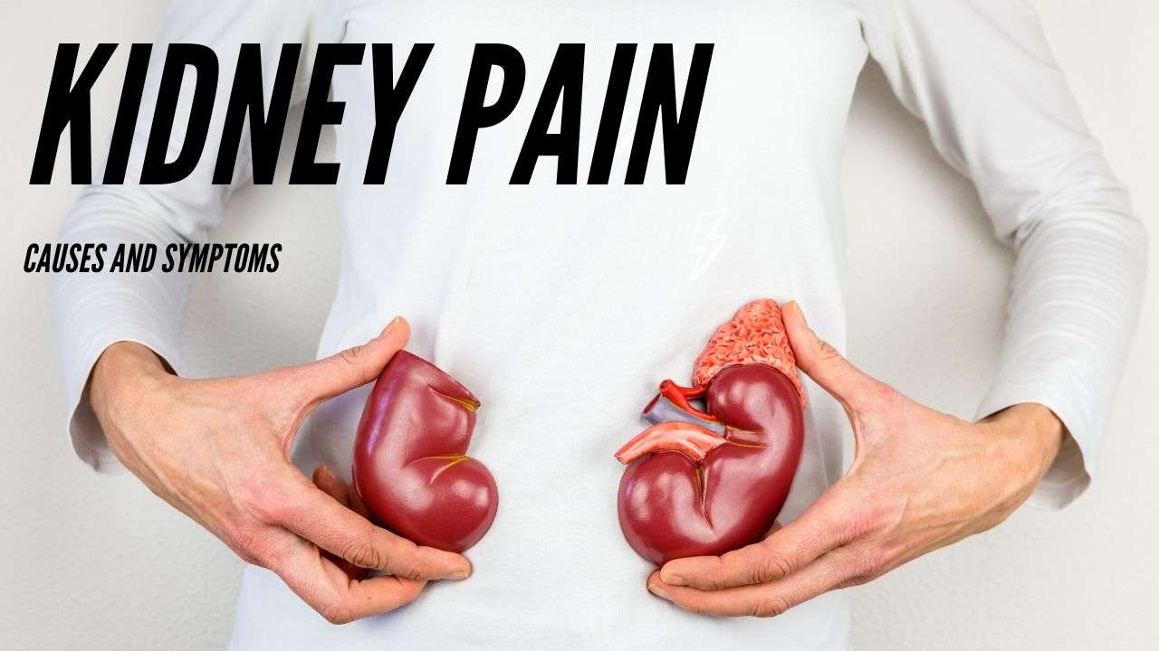 Understanding Symptoms Of Kidney Pain You Must Know