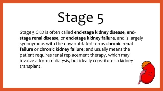 View Signs And Symptoms Of Stage 5 Kidney Failure You ...