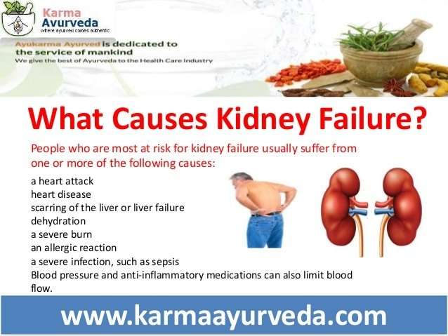 What are the Causes of kidney failure