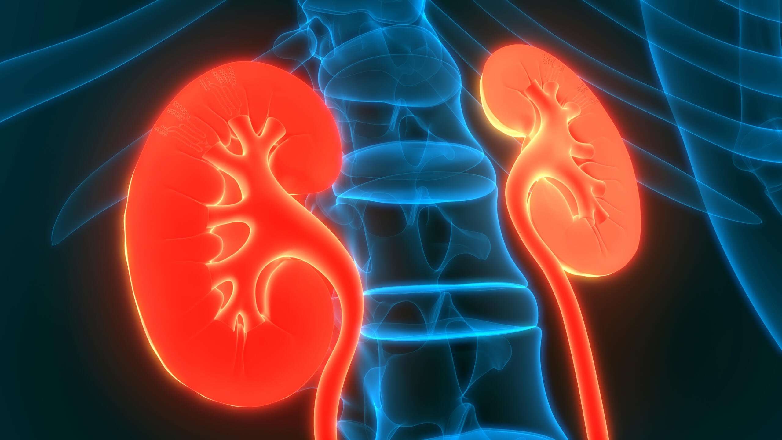 What Are the Signs and Symptoms of Kidney Cancer?
