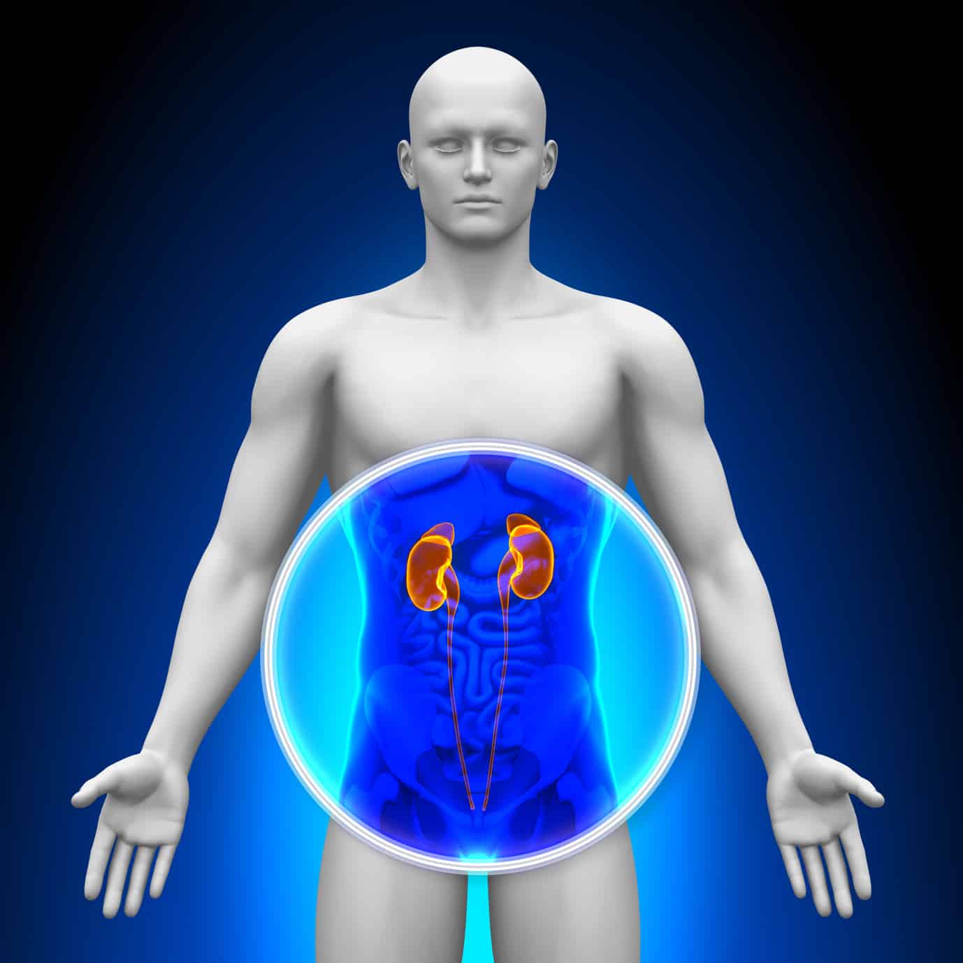 What Are the Symptoms of Kidney Cancer?
