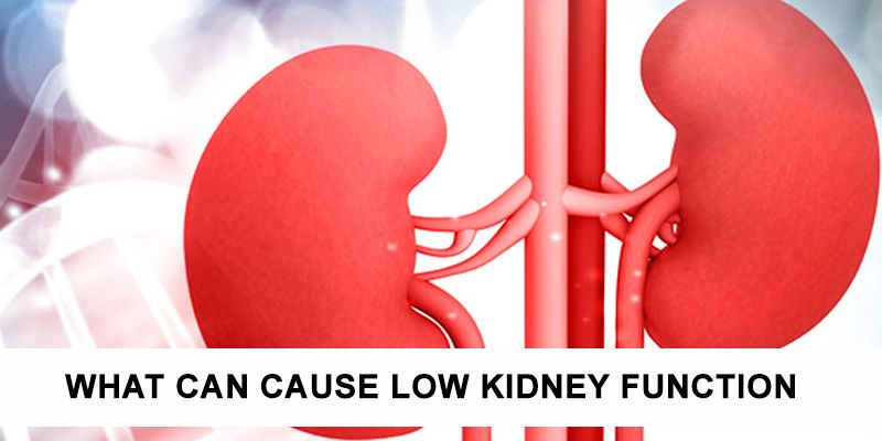 What can cause low kidney function?