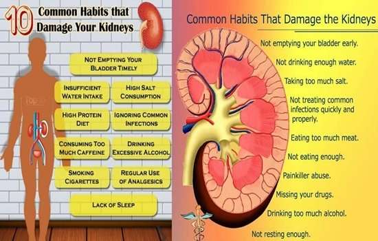 what can damage the kidneys mishkanet com
