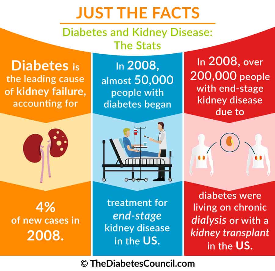 What can diabetes do to your kidneys  Health News