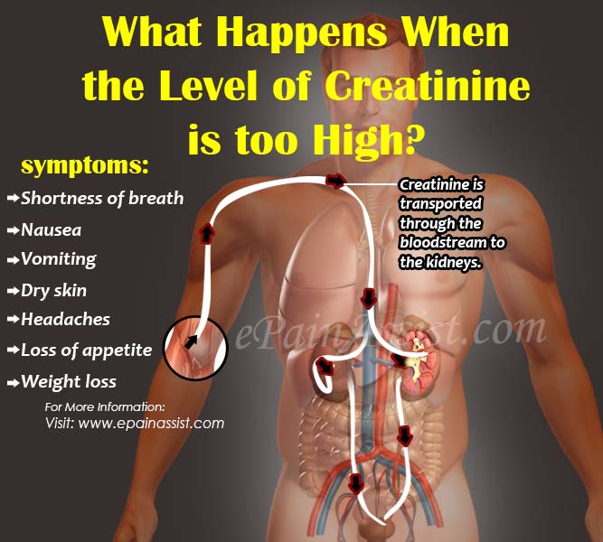what causes high creatinine levels mishkanet com
