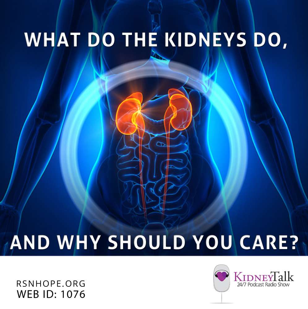 What Do The Kidneys Do and Why Should You Care?
