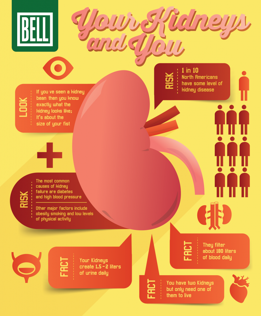 Can Kidney Disease Show Up In Blood Work