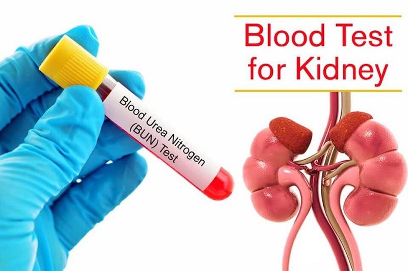 what-does-a-low-kidney-function-blood-test-mean-healthykidneyclub