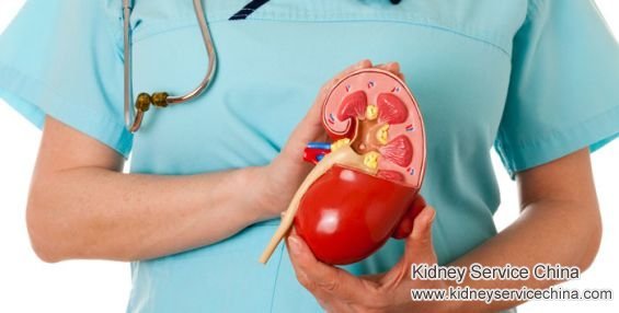 What Does It Mean When You Have 38 Percent Kidney Function
