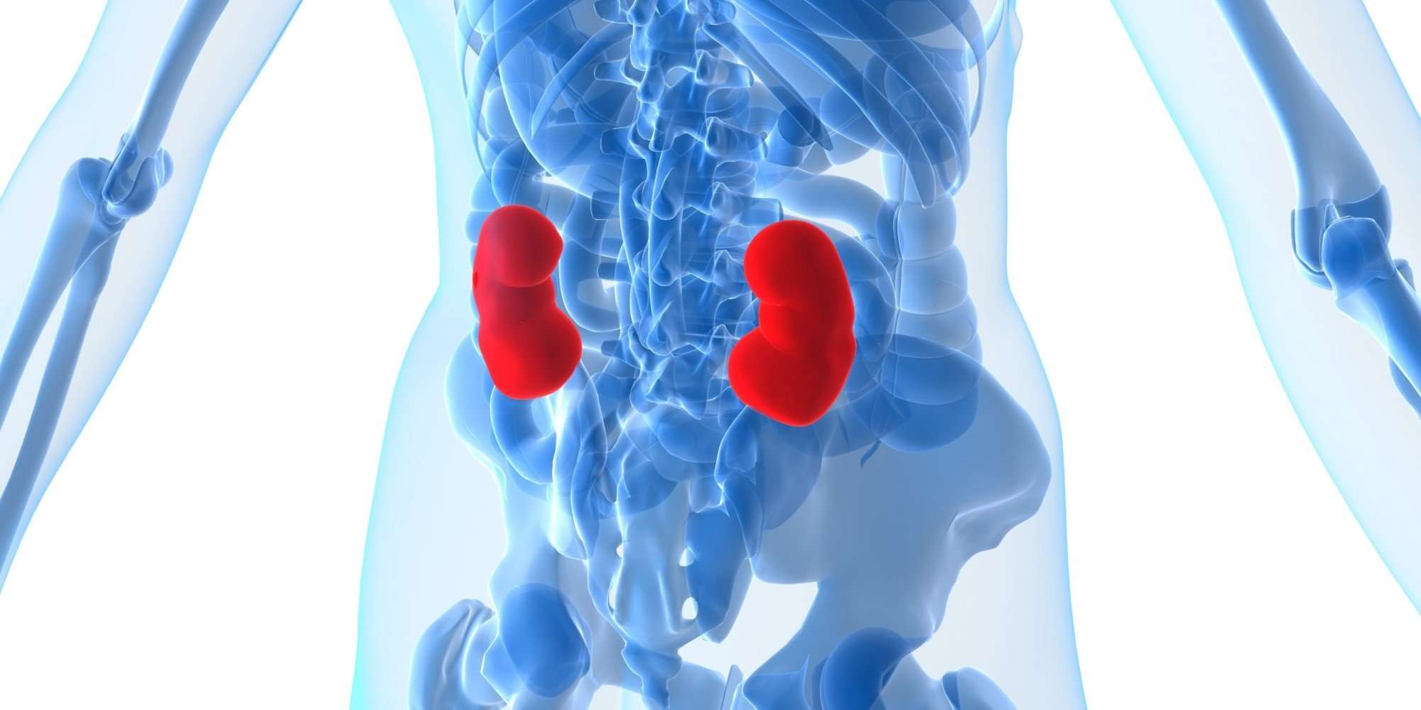What Everyone Should Know About Kidney Cancer