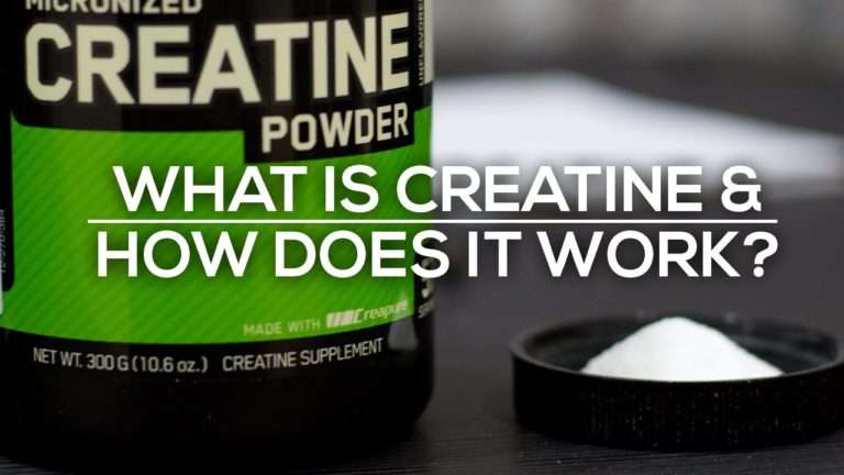 What is Creatine: A Complete Guide To Creatine Supplementation