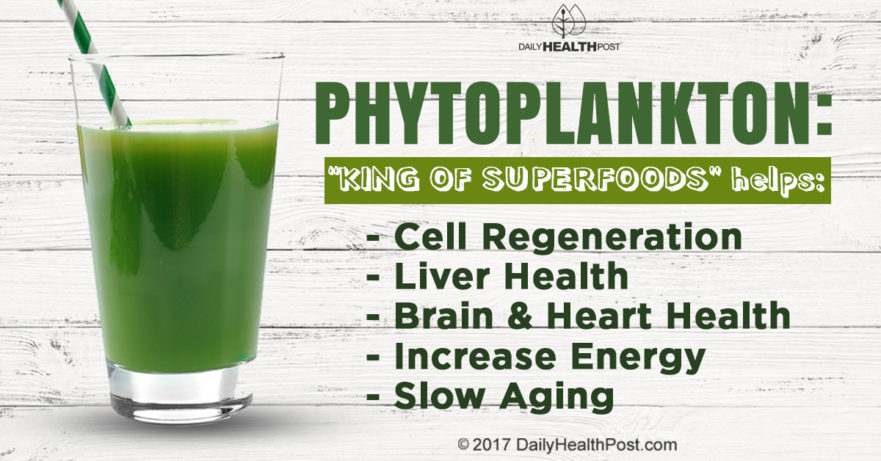 What is Marine Phytoplankton? 10 Proven Health Benefits