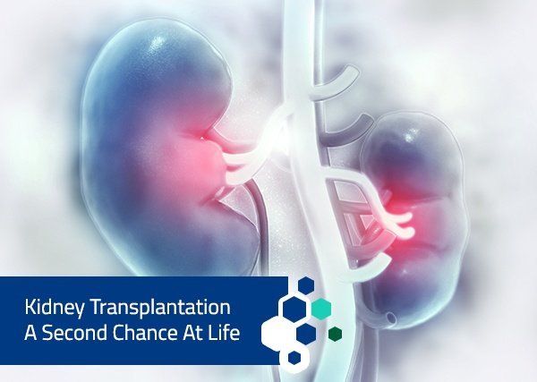 What is the success rate of kidney transplantation?